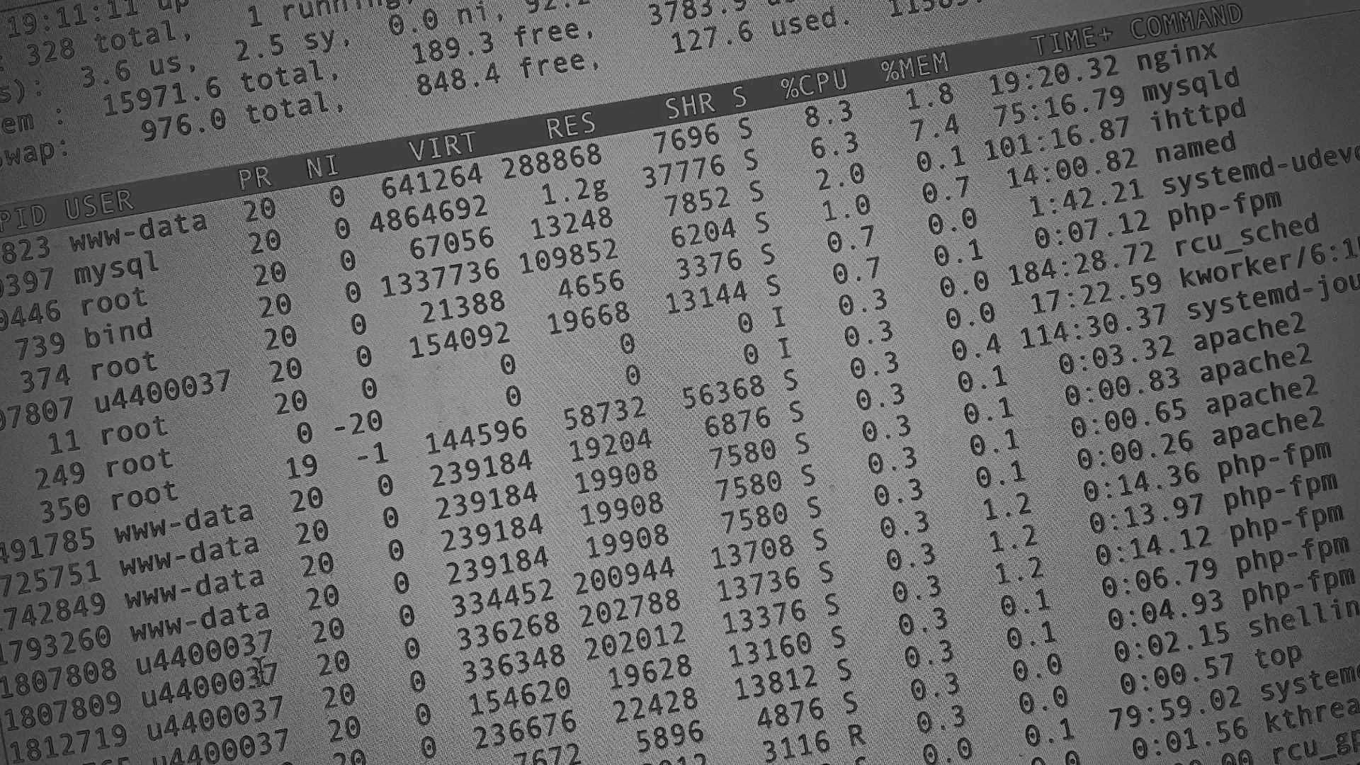 Настройка сервера в Венёве